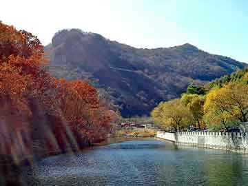 澳门天天开奖免费资料，花地玛堂seo培训